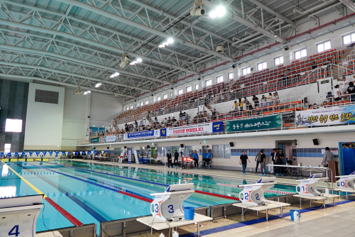 제21회 이충무공배 전국핀수영대회